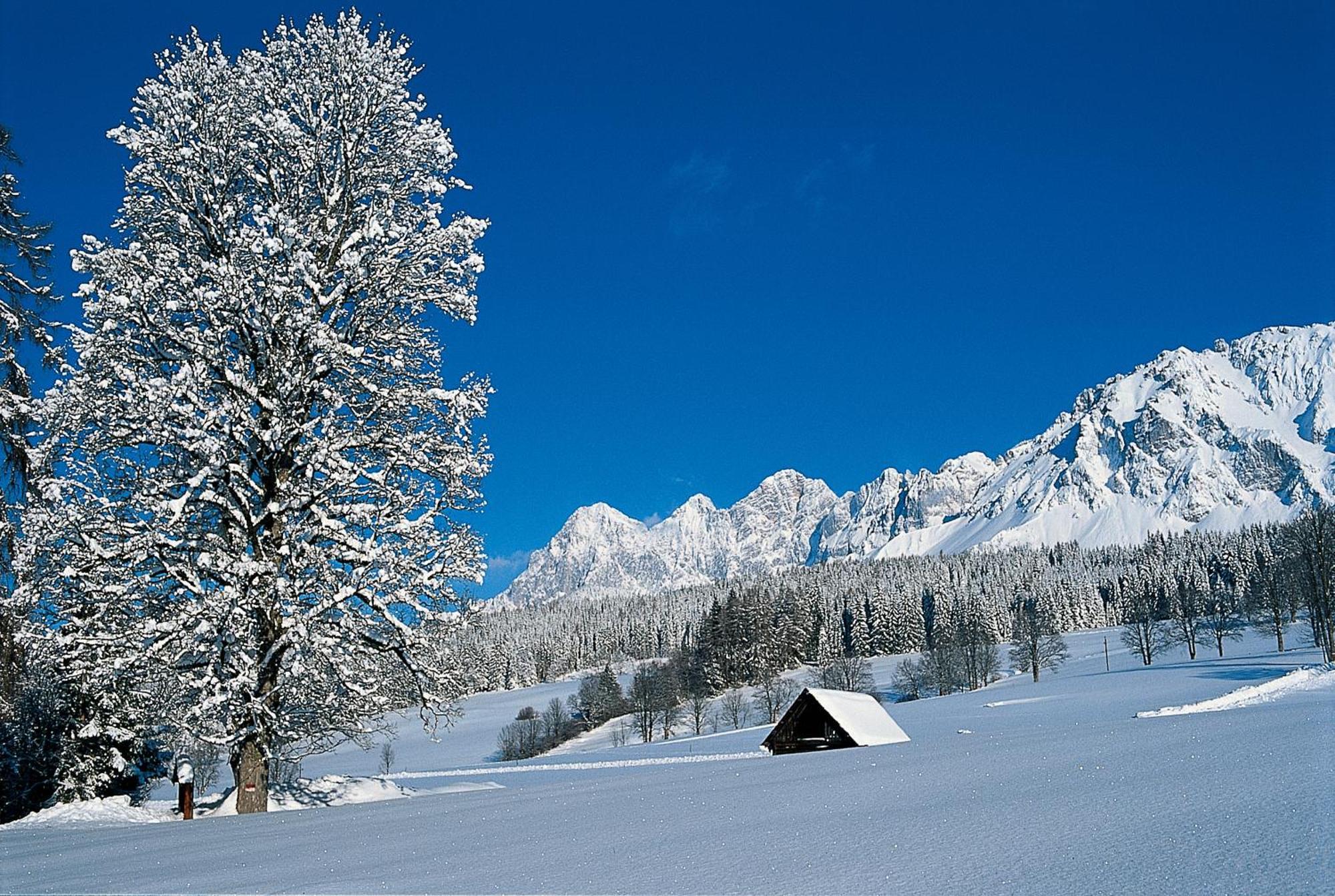 Bio-Holzhaus Und Landhaus Heimat Apartment Ramsau am Dachstein Exterior photo