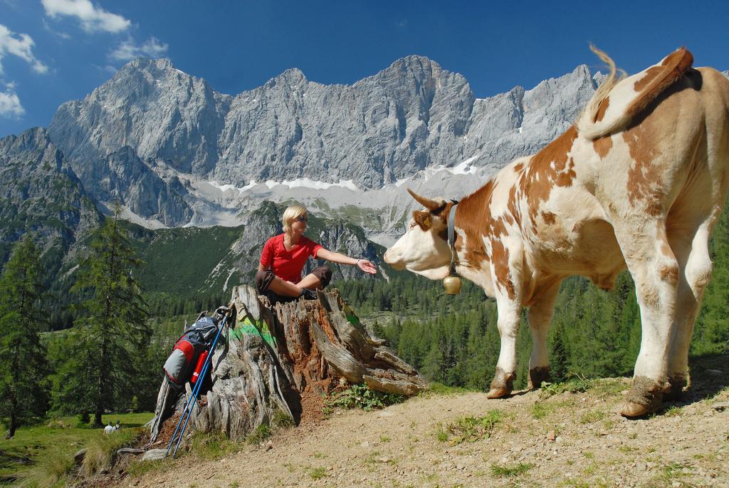 Bio-Holzhaus Und Landhaus Heimat Apartment Ramsau am Dachstein Exterior photo